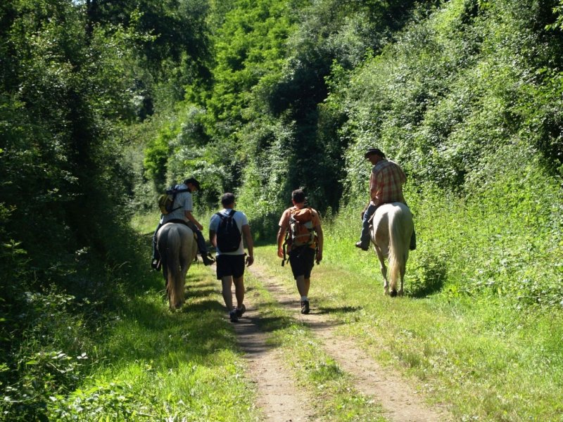 La TRANSLAYON 2015, à la découverte de l'Anou-Val de Loire avec nos gobelets réutilisables