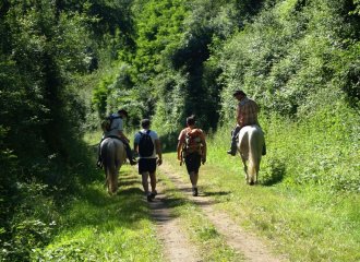 La TRANSLAYON 2015, à la découverte de l'Anou-Val de Loire avec nos gobelets réutilisables