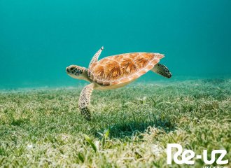 World Oceans Day!