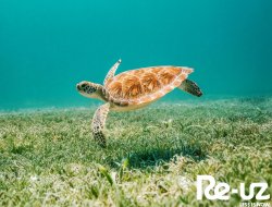 World Oceans Day!
