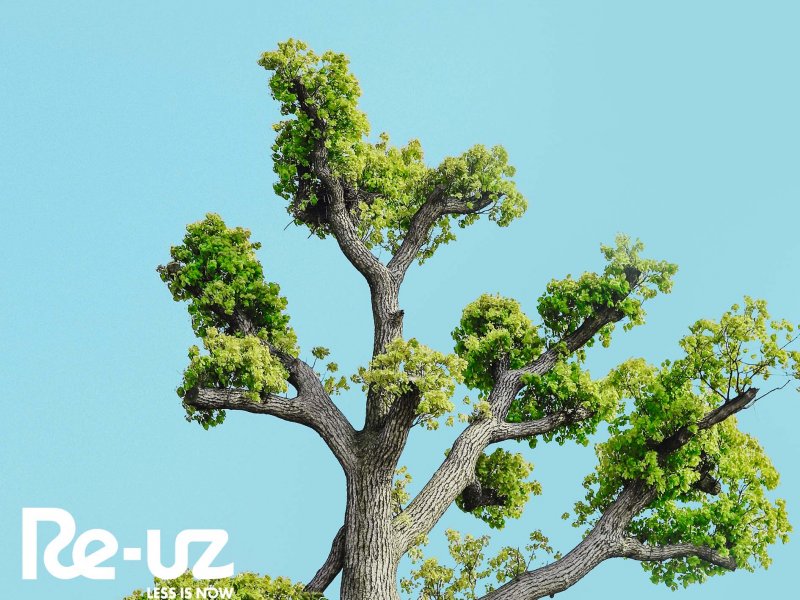 World Tree Day