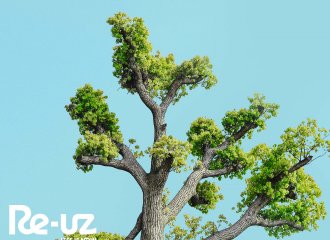 Journée mondiale de l'arbre
