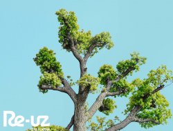 Journée mondiale de l'arbre