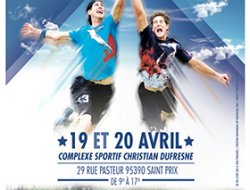 Championnat de France d'ultimate fisbee 2014