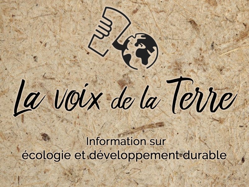 LA VOIX DE LA TERRE | Informations sur écologie et développement durable