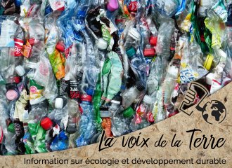 Le recyclage des plastiques, une mesure suffisante ?