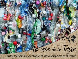 Le recyclage des plastiques, une mesure suffisante ?