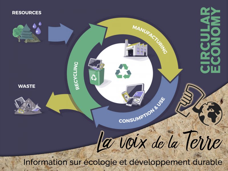 Qu'est-ce que l'économie circulaire?