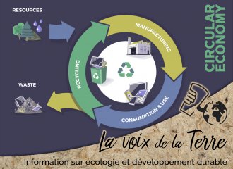 Qu'est-ce que l'économie circulaire?