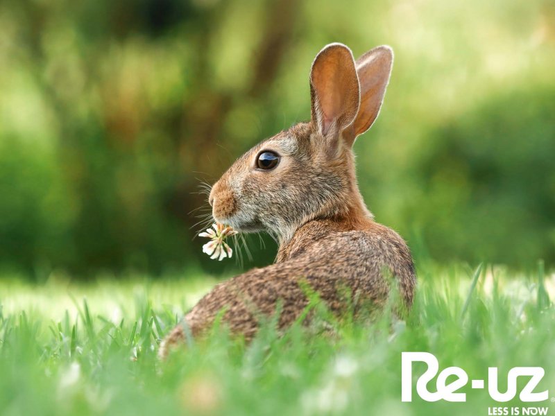 International Day for Biological Diversity